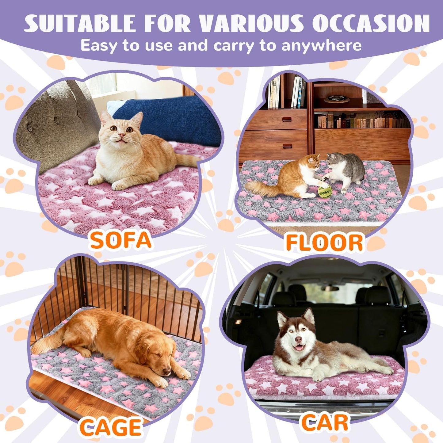 Small Animal Beds