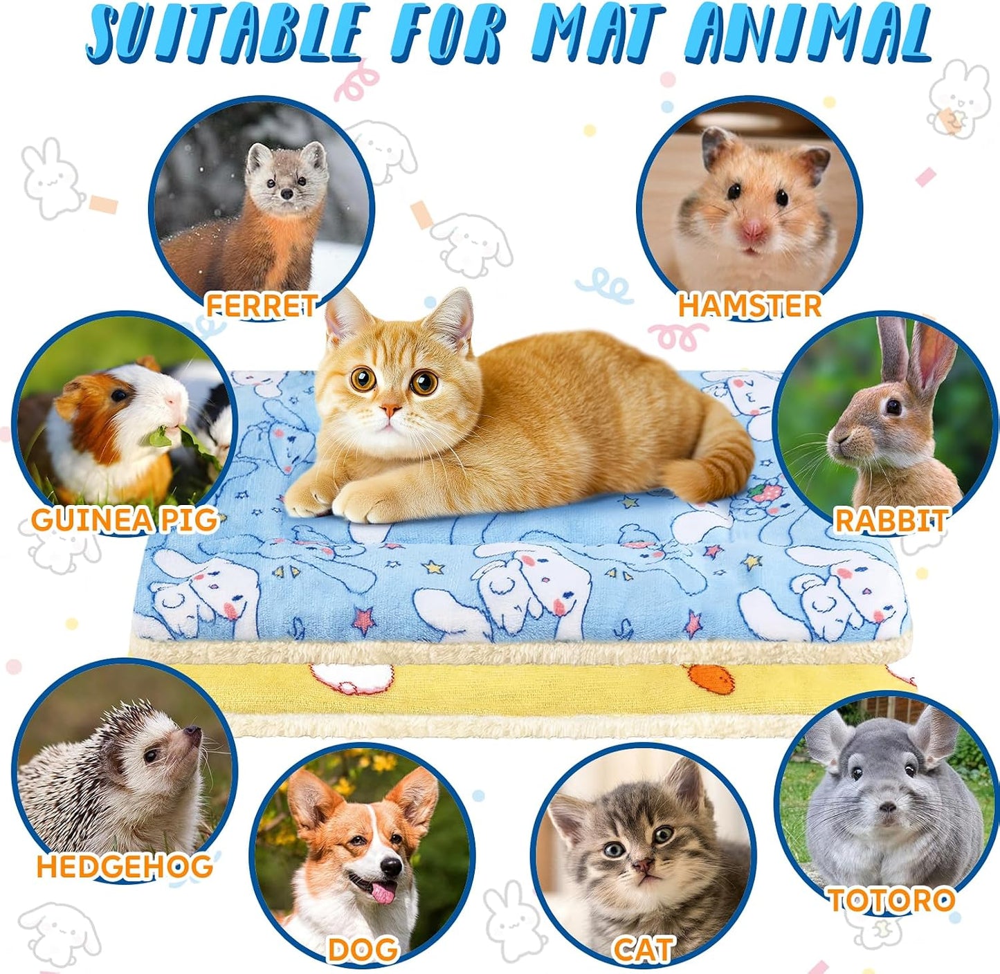 Small Animal Beds