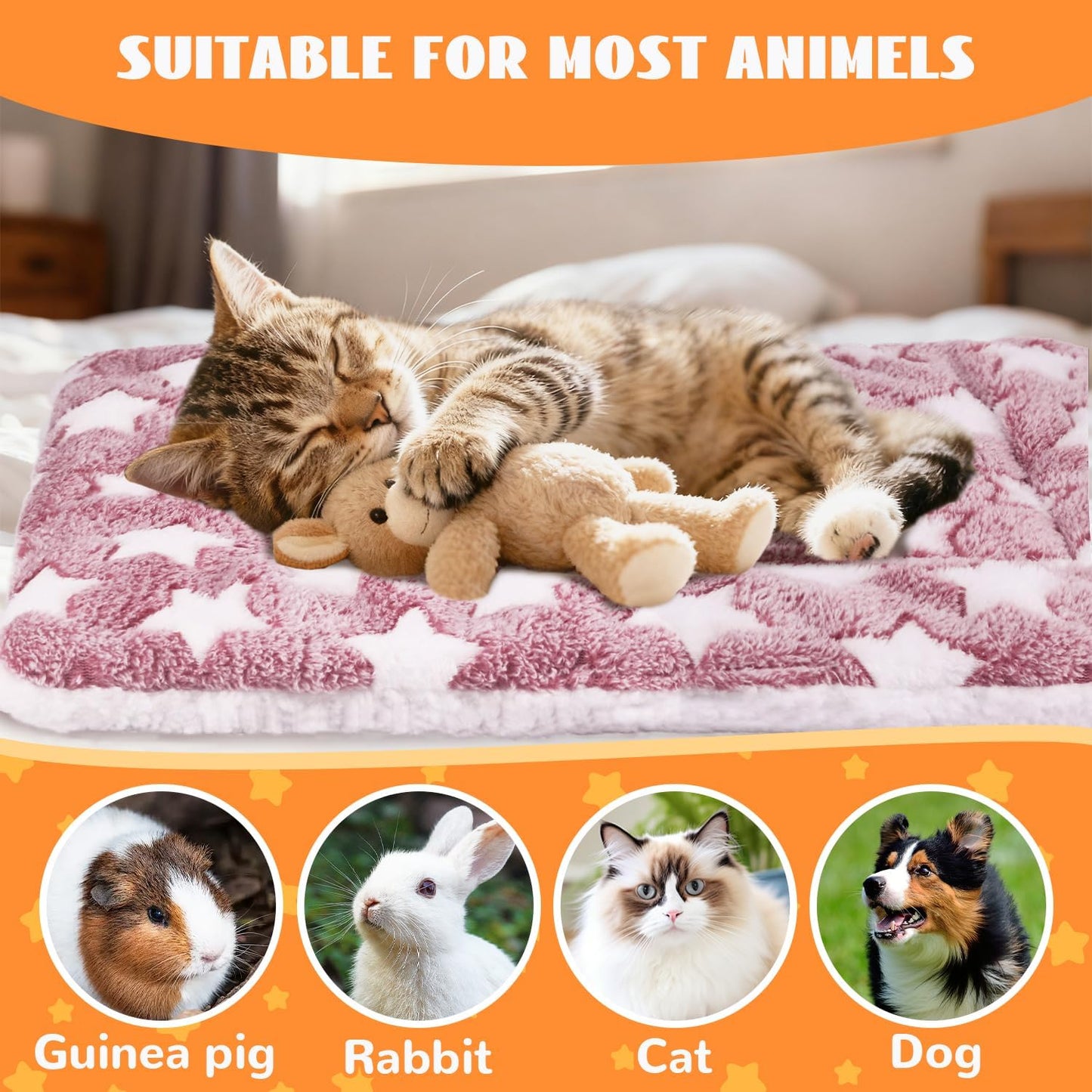 Small Animal Beds