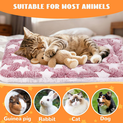 Small Animal Beds
