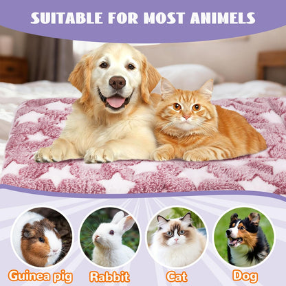 Small Animal Beds