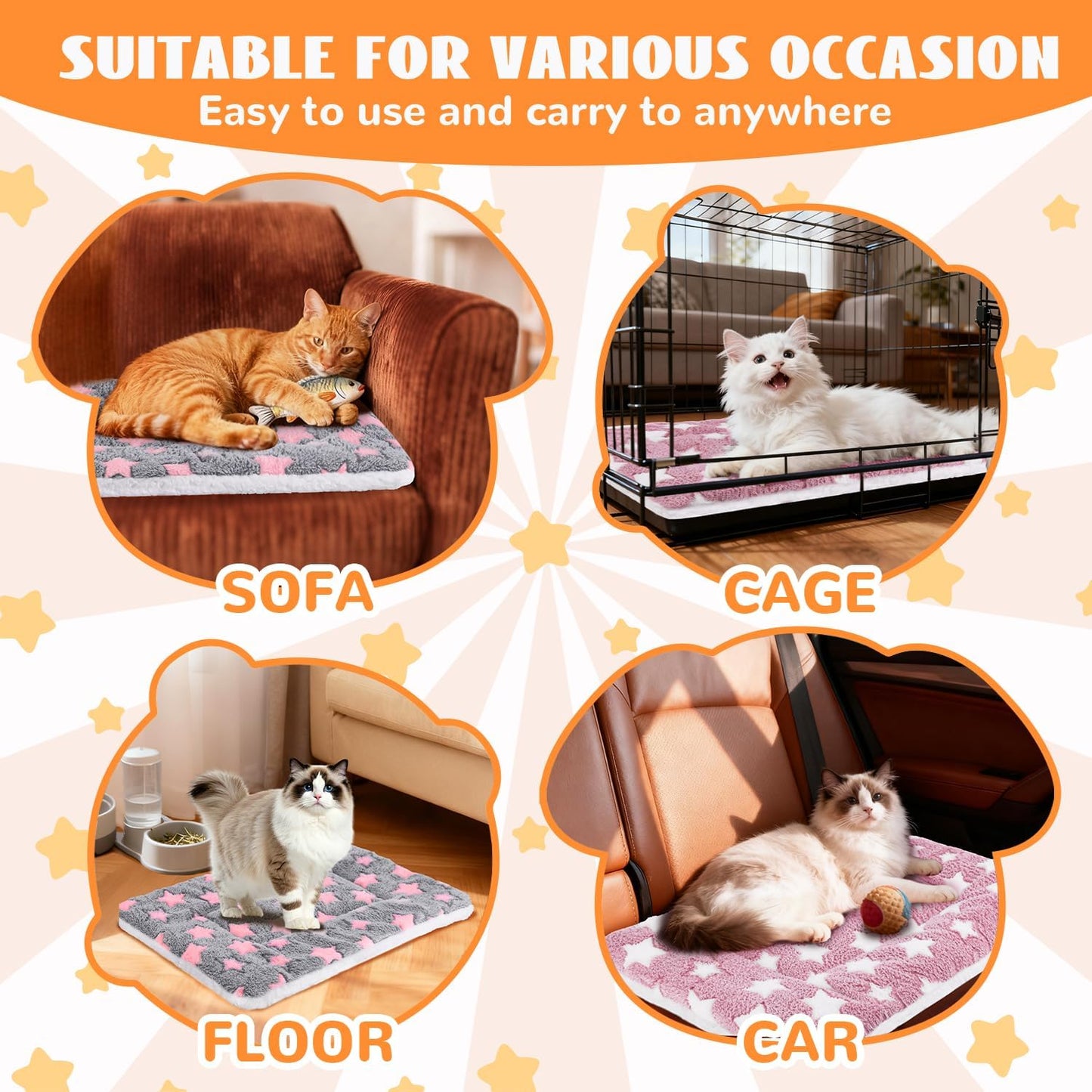 Small Animal Beds
